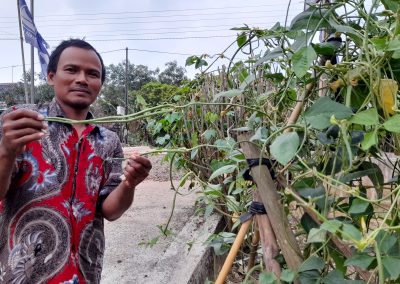 Yuk!! Tanam Sayuran di Depan Halaman Rumah,Hidup Lebih Sehat